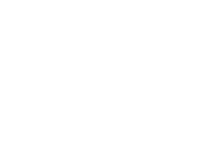 layer-41.png